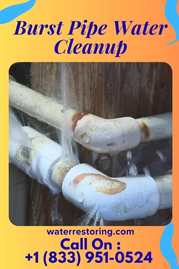 Burst Pipe Water Cleanup in Bellefonte, PA