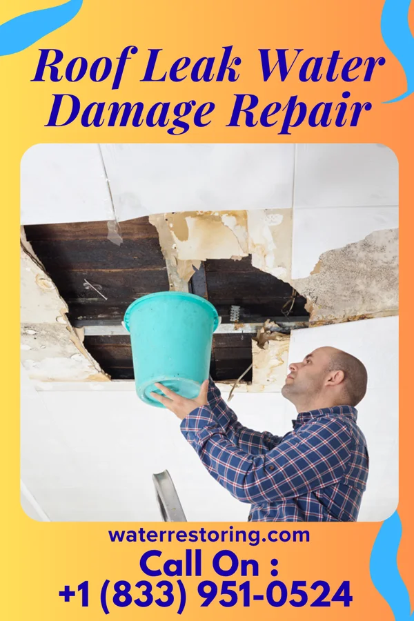 Roof Leak Water Damage Repair in Bellefonte, PA
