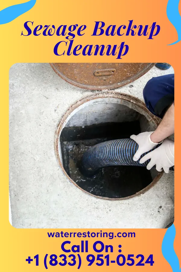 Sewage Backup Cleanup in Bellefonte, PA