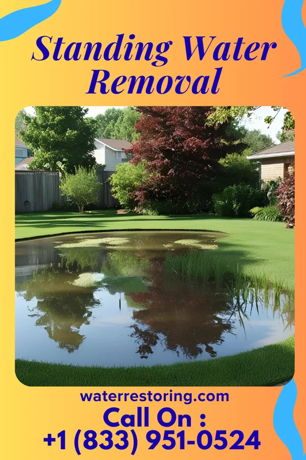 Standing Water Removal in Bellefonte, PA